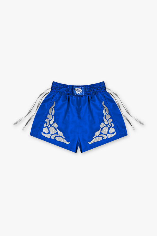 Satin Fighter Shorts